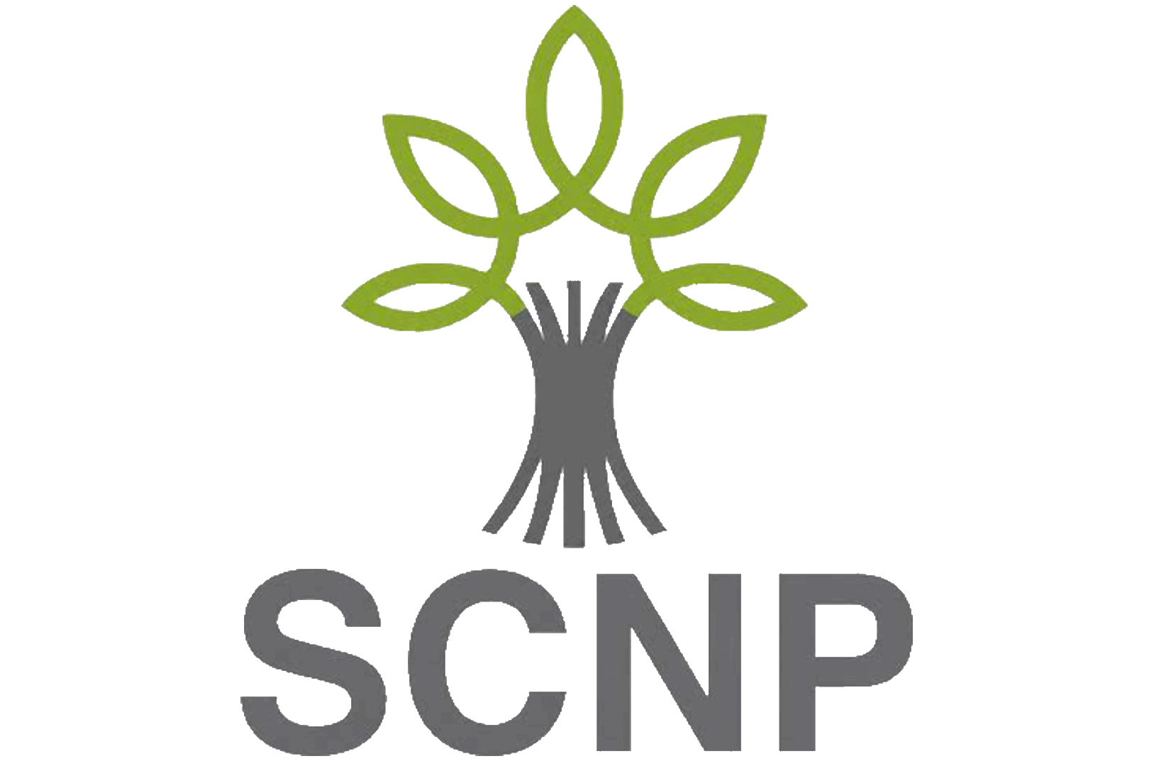 PT SELARAS CITRA NUSANTARA PERKASA (SCNP)